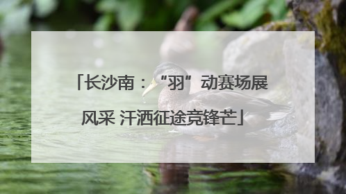 长沙南：“羽”动赛场展风采 汗洒征途竞锋芒