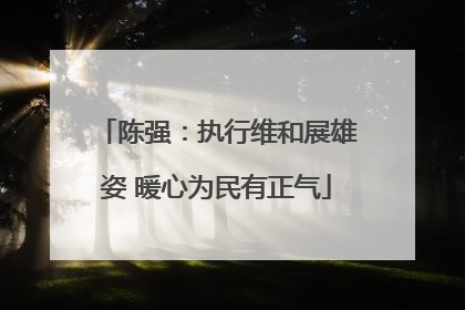 陈强：执行维和展雄姿 暖心为民有正气