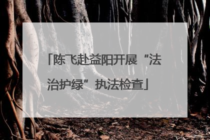 陈飞赴益阳开展“法治护绿”执法检查