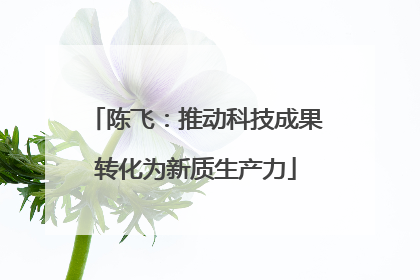 陈飞：推动科技成果转化为新质生产力