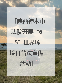 陕西神木市法院开展“6.5”世界环境日普法宣传活动