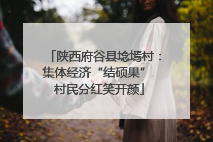 陕西府谷县埝墕村：集体经济“结硕果” 村民分红笑开颜