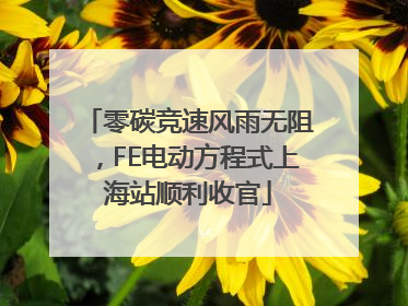 零碳竞速风雨无阻，FE电动方程式上海站顺利收官