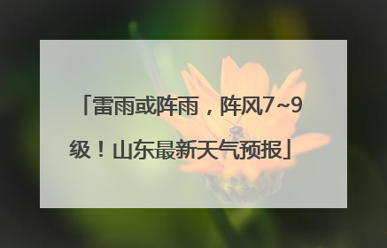 雷雨或阵雨，阵风7~9级！山东最新天气预报