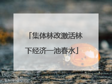 集体林改激活林下经济一池春水
