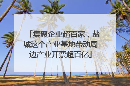 集聚企业超百家，盐城这个产业基地带动周边产业开票超百亿