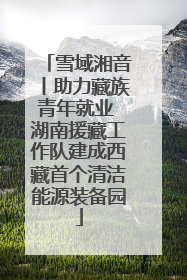 雪域湘音丨助力藏族青年就业 湖南援藏工作队建成西藏首个清洁能源装备园
