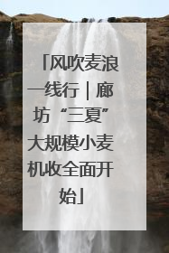 风吹麦浪一线行｜廊坊“三夏”大规模小麦机收全面开始