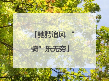 驰骋追风 “骑”乐无穷