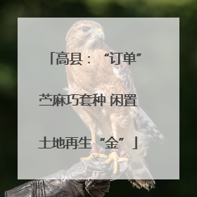 高县：“订单”苎麻巧套种 闲置土地再生“金”