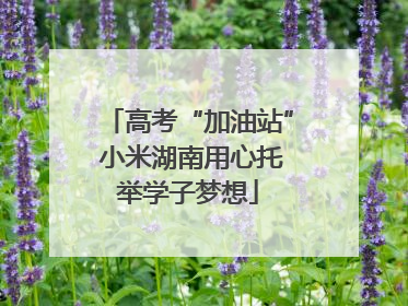 高考“加油站” 小米湖南用心托举学子梦想