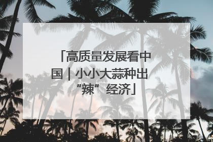 高质量发展看中国｜小小大蒜种出“辣”经济