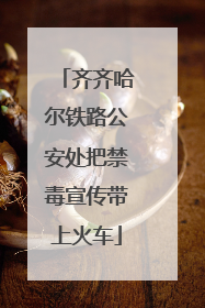 齐齐哈尔铁路公安处把禁毒宣传带上火车