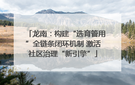 龙南：构建“选育管用”全链条闭环机制 激活社区治理“新引擎”