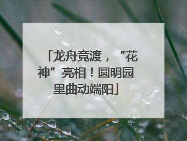龙舟竞渡，“花神”亮相！圆明园里曲动端阳