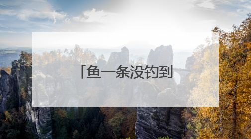 鱼一条没钓到，人却进了医院！最近因此受伤的还真不少