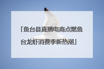 鱼台县直播电商点燃鱼台龙虾消费季新热潮