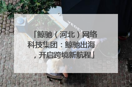 鲸驰（河北）网络科技集团：鲸驰出海，开启跨境新航程