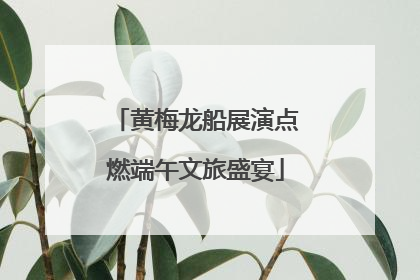 黄梅龙船展演点燃端午文旅盛宴