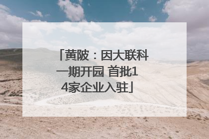 黄陂：因大联科一期开园 首批14家企业入驻