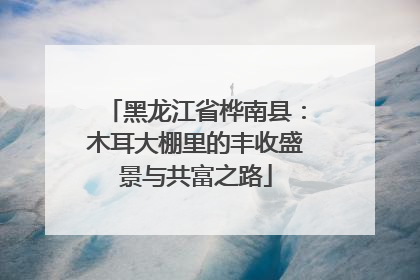 黑龙江省桦南县：木耳大棚里的丰收盛景与共富之路