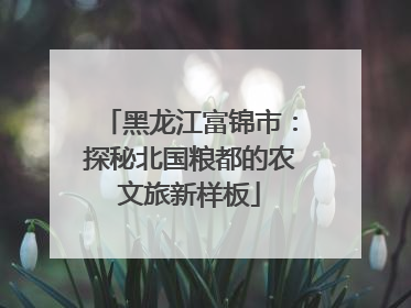 黑龙江富锦市：探秘北国粮都的农文旅新样板