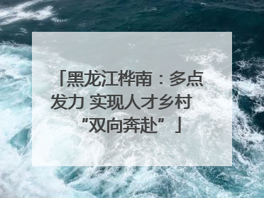 黑龙江桦南：多点发力 实现人才乡村“双向奔赴”