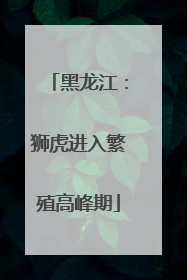 黑龙江：狮虎进入繁殖高峰期