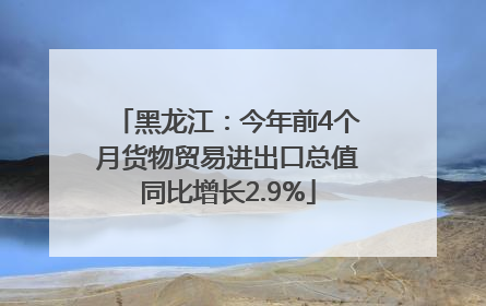 黑龙江：今年前4个月货物贸易进出口总值同比增长2.9%