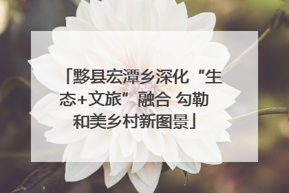 黟县宏潭乡深化“生态+文旅”融合 勾勒和美乡村新图景