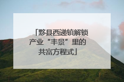 黟县西递镇解锁产业“丰景”里的共富方程式
