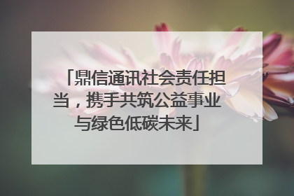 鼎信通讯社会责任担当，携手共筑公益事业与绿色低碳未来