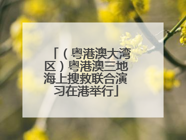 （粤港澳大湾区）粤港澳三地海上搜救联合演习在港举行