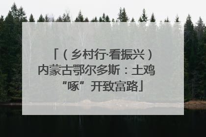 （乡村行·看振兴）内蒙古鄂尔多斯：土鸡“啄”开致富路