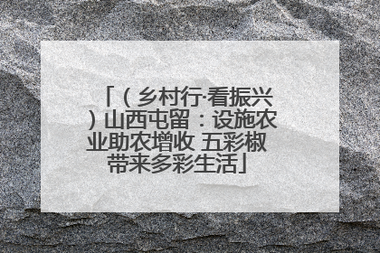 （乡村行·看振兴）山西屯留：设施农业助农增收 五彩椒带来多彩生活