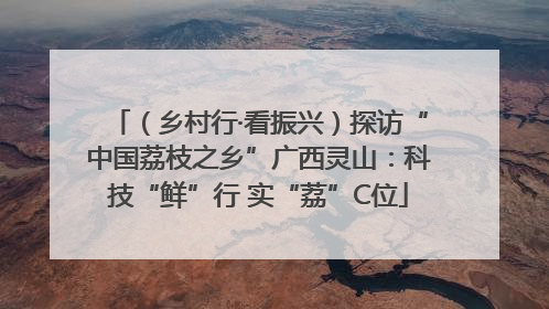 （乡村行·看振兴）探访“中国荔枝之乡”广西灵山：科技“鲜”行 实“荔”C位