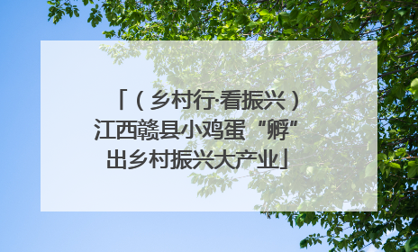 （乡村行·看振兴）江西赣县小鸡蛋“孵”出乡村振兴大产业
