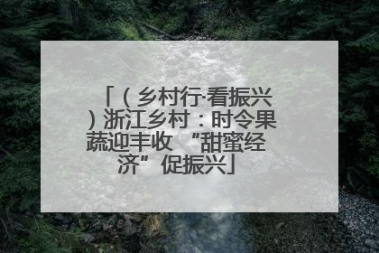 （乡村行·看振兴）浙江乡村：时令果蔬迎丰收 “甜蜜经济”促振兴