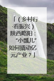 （乡村行·看振兴）陕西略阳：“小瓢儿”如何撬动亿元产业？