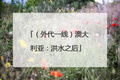 （外代一线）澳大利亚：洪水之后