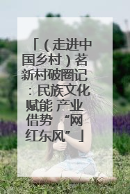 （走进中国乡村）茗新村破圈记：民族文化赋能 产业借势 “网红东风”