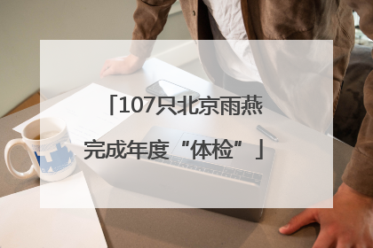 107只北京雨燕完成年度“体检”