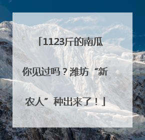 1123斤的南瓜你见过吗？潍坊“新农人”种出来了！