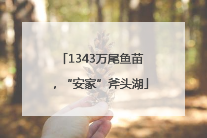 1343万尾鱼苗，“安家”斧头湖
