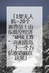 1架无人机=20个巡查员！山东低空经济“硬核王炸”亮相青岛，下一个万亿赛道藏在这里