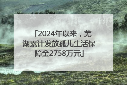 2024年以来，芜湖累计发放孤儿生活保障金2758万元