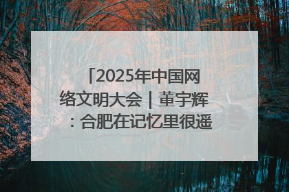 2025年中国网络文明大会｜董宇辉：合肥在记忆里很遥远也很亲切
