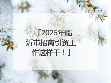 2025年临沂市招商引资工作这样干！