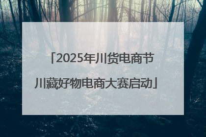 2025年川货电商节川藏好物电商大赛启动