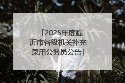 2025年度临沂市各级机关补充录用公务员公告